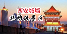 免费看大骚b中国陕西-西安城墙旅游风景区